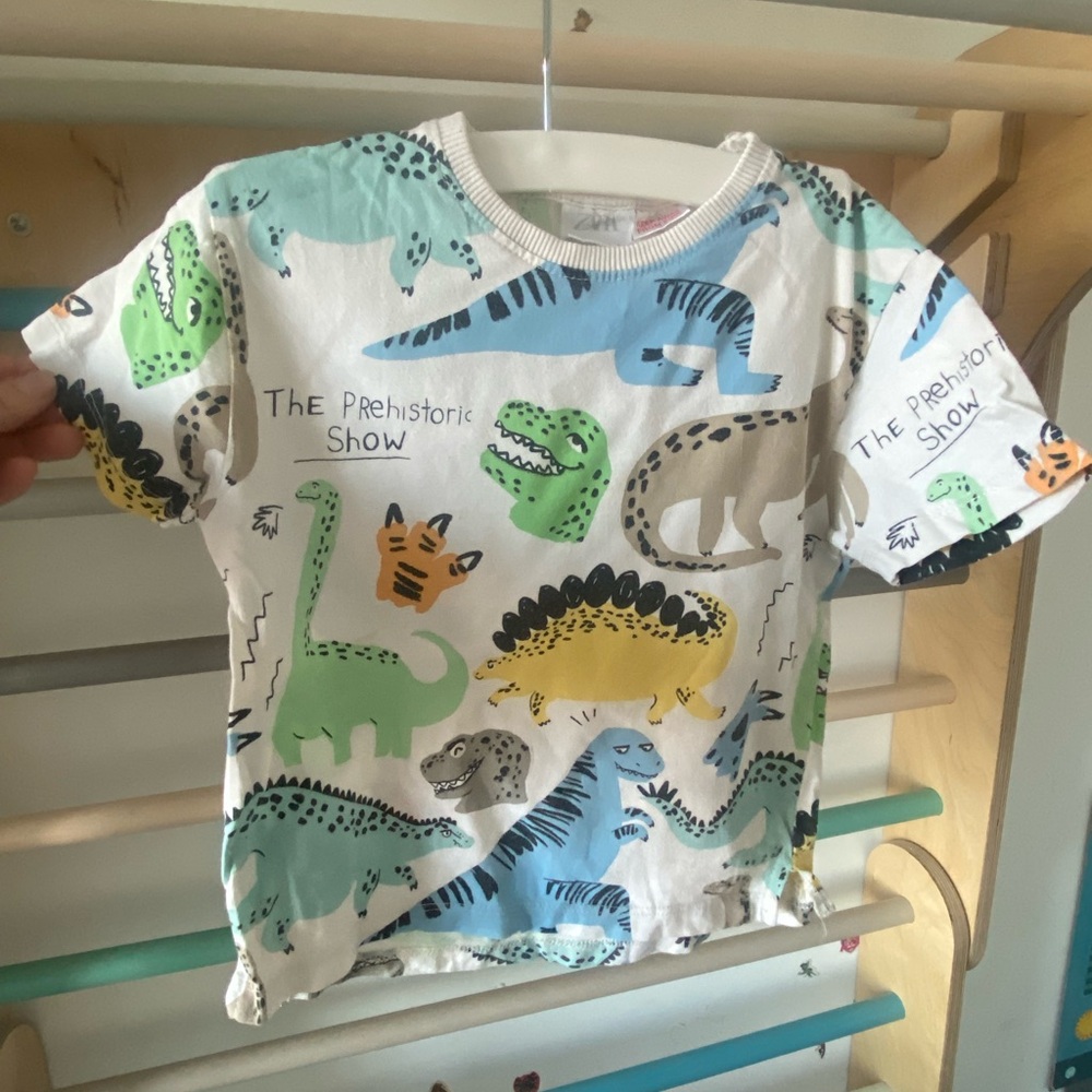 Zara Boys Dinosaur Print Kids T-Shirt